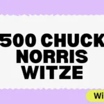 500 Chuck Norris Witze