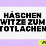 Häschen Witze zum Totlachen