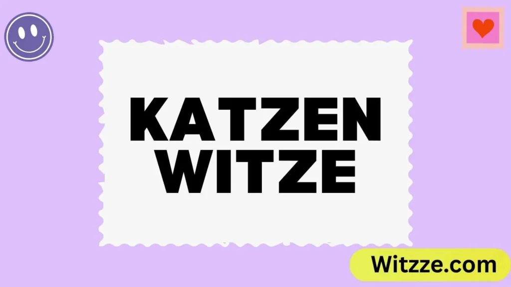 Katzen Witze
